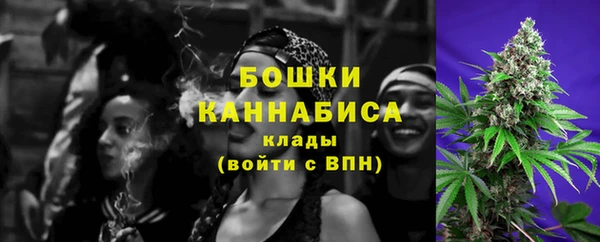 дмт Заводоуковск