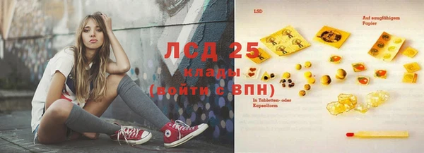 шишки Заволжье
