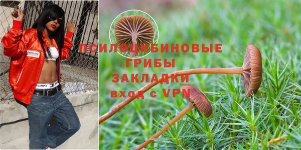 а пвп мука Заволжск