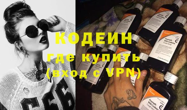 шишки Заволжье