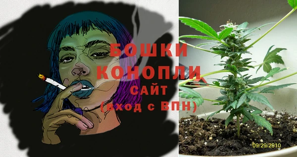 дмт Заводоуковск