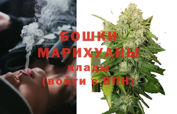 шишки Заволжье