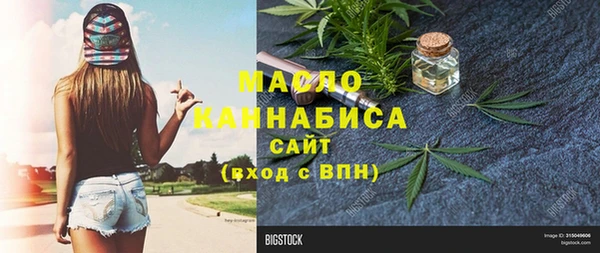 шишки Заволжье