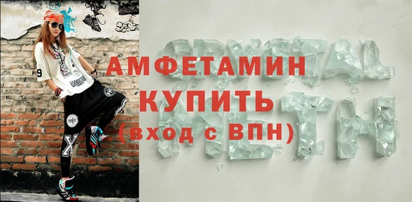 шишки Заволжье